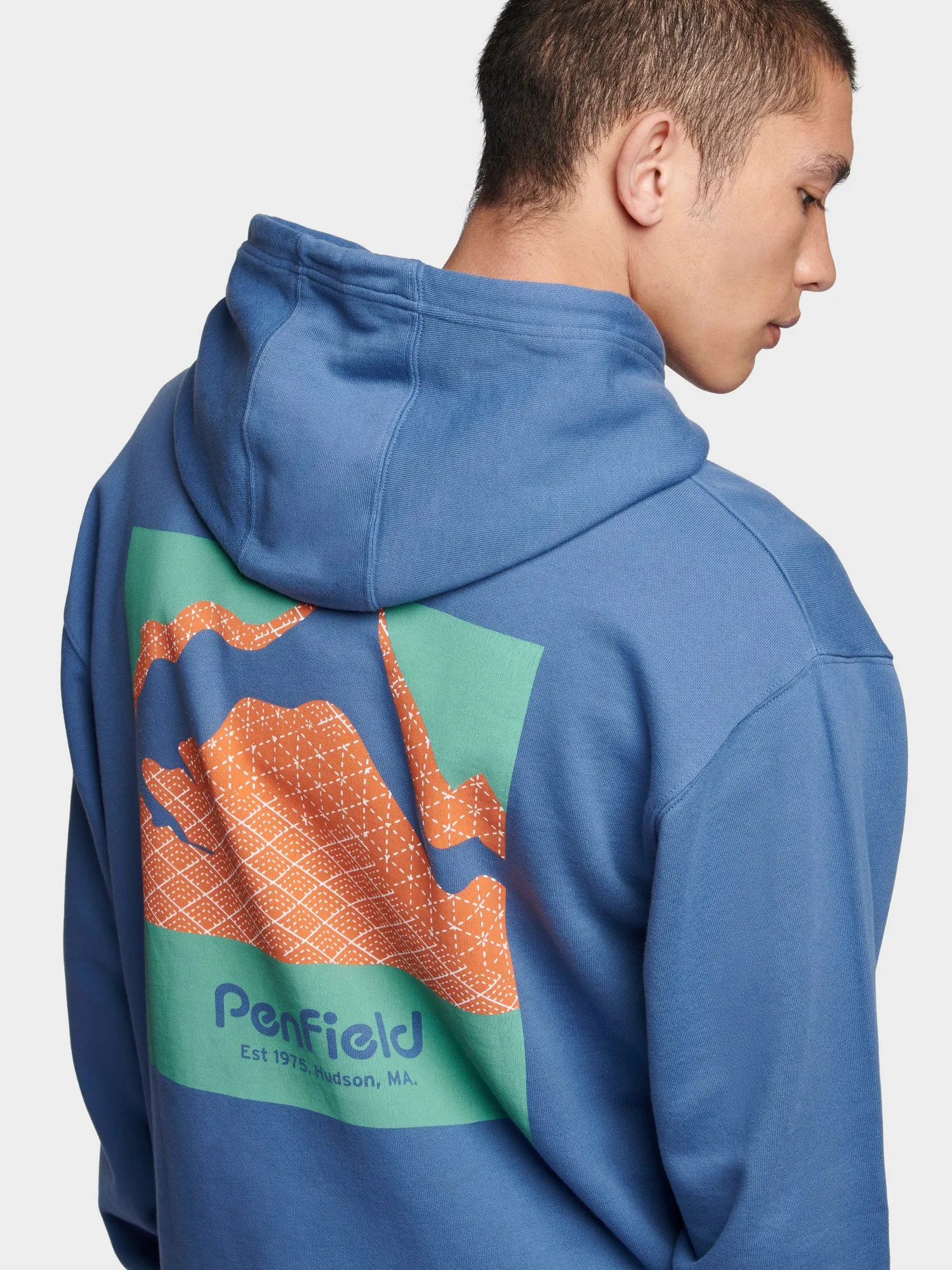 Relaxed Fit Mountain Back Print Hoodie in Blue Horizon